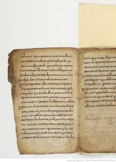 ParisBNFlat05288_026_f008v