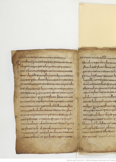 ParisBNFlat05288_028_f009v