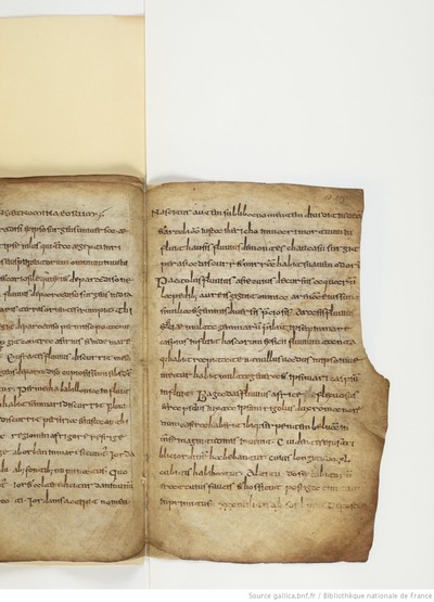 ParisBNFlat05288_029_f010r