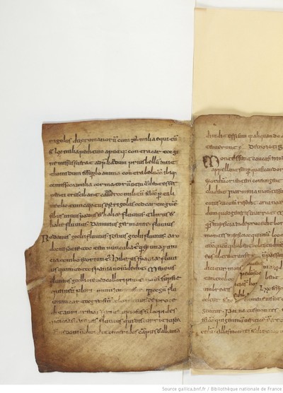 ParisBNFlat05288_030_f010v