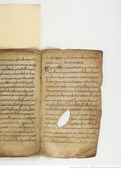 ParisBNFlat05288_031_f011r