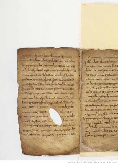 ParisBNFlat05288_032_f011v