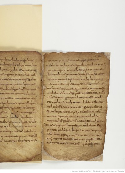 ParisBNFlat05288_033_f012r