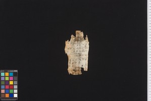 Stams_STA_Frg_013_01r