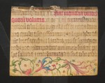 Wilhelmsstift_KH_5284_vorne