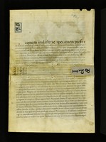 Innsbruck_ULBT_Frg_081_r_2_