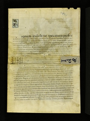 Innsbruck_ULBT_Frg_081_r_2_