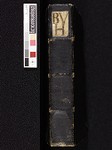 Spine