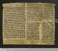 51_Quadragesimale_novum_1495_ausgeloest_