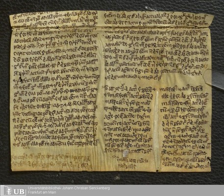 51_Quadragesimale_novum_1495_ausgeloest_