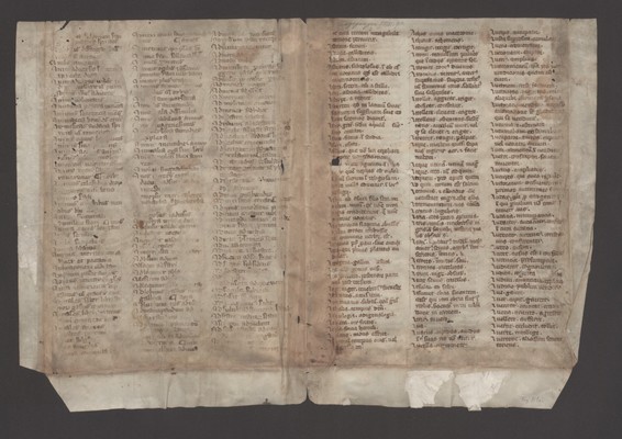 Innsbruck_ULBT_Frg_B01_r