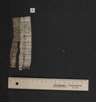 Fragm. 49 a, fol. [1]r