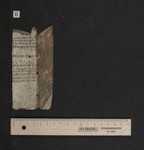 Fragm. 49 b, fol. [1]v