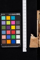 Dettaglio frammento 2