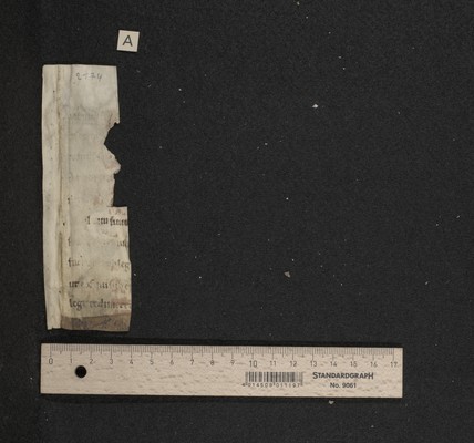 Fragm. 46 a, fol. [1]r