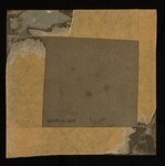 reverse (glued cardboard)