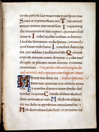 recto - Dunedin Public Libraries  RMM Fragment 26 (bifolium)