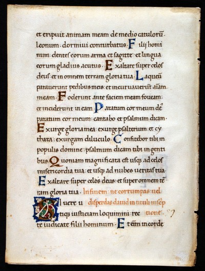 verso - Dunedin Public Libraries  RMM Fragment 26 (bifolium)