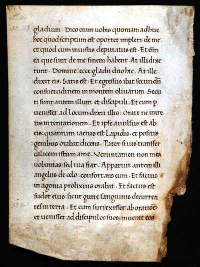 verso - Dunedin Public Libraries RMM Fragment 32b