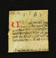 Innsbruck_ULBT_Frg_116_01_r