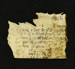 Innsbruck_ULBT_Frg_116_03_r