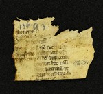 Innsbruck_ULBT_Frg_116_03_v