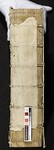 Spine (former host volume)