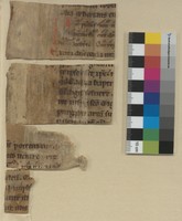 recto mit Farbkarte