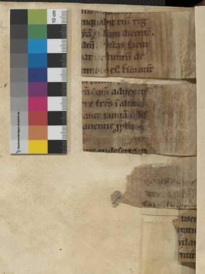 verso mit Farbkarte