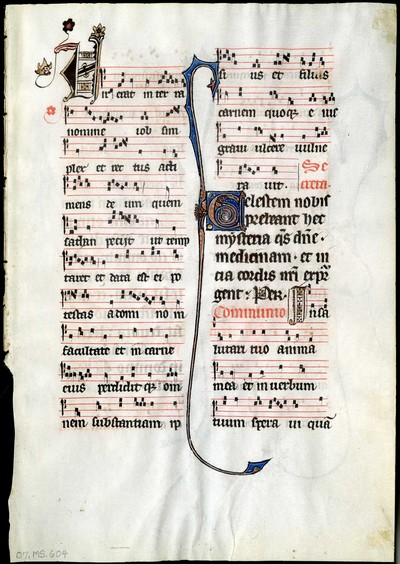 Glencairn_07_MS_604r