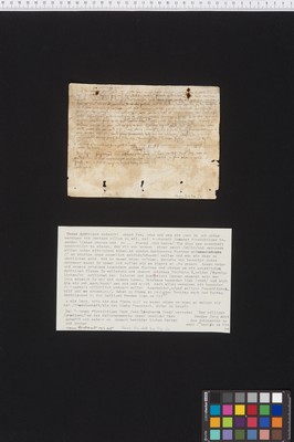 Stams_STA_Frg_002_01r_Adl_01r