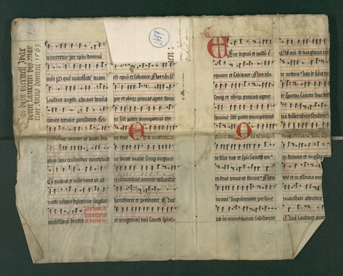 StAL_B_231_Bue_2459_IIv_Ir