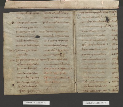 CodSerNov2065_31v_Cod3781_Falz