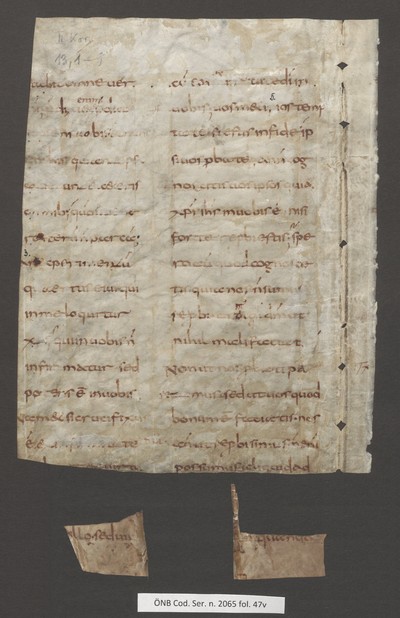 CodSerNov2065_47v_Cod3816_Ruecken