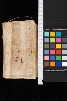 Piatto anteriore_phy