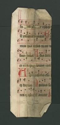 StAL_B_384_Bue_7486_r