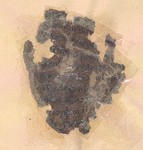 Additional image annotation