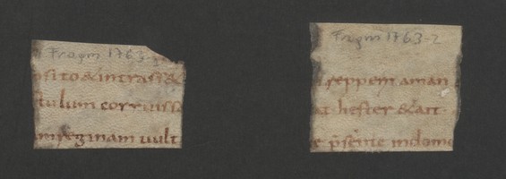 Fragm1763_1r