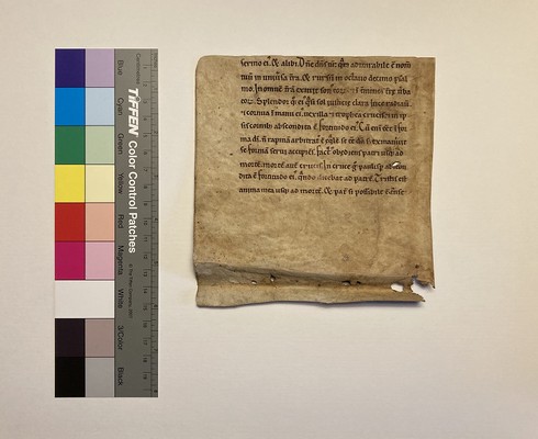 Book 2, Chapter 3, 24