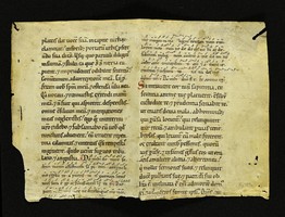 Innsbruck_ULBT_Frg_A03_r