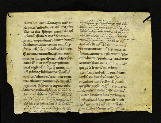 Innsbruck_ULBT_Frg_A03_r