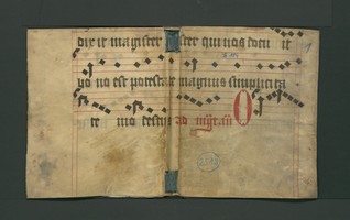 StAL_B_114_Bue_2518_r