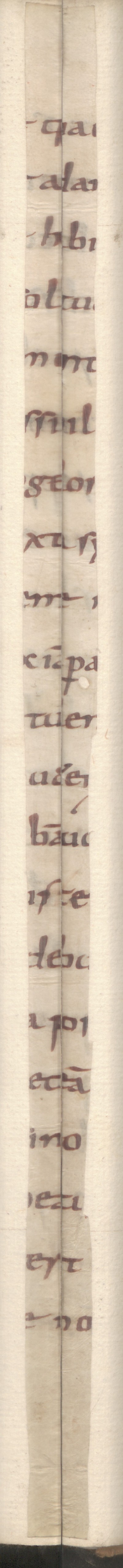 Cod3776_Falz102_103_m