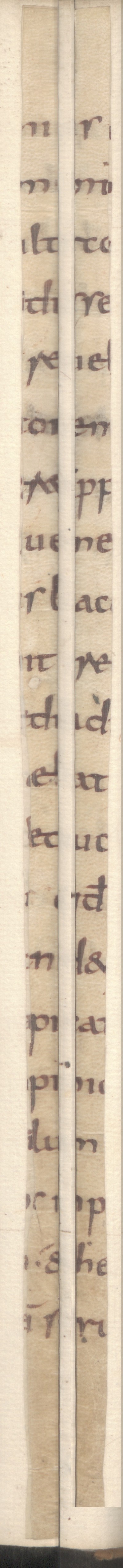 Cod3776_Falz102_103_vr