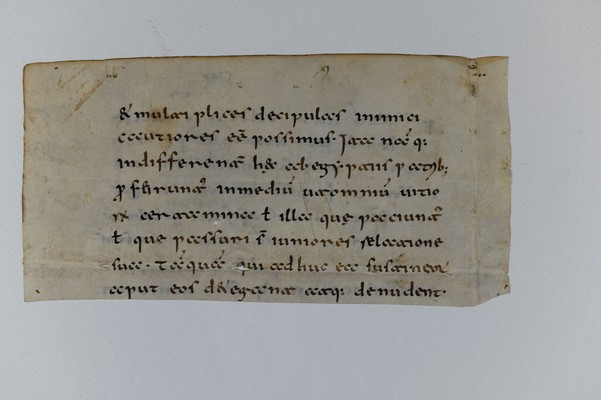 ZBS_S_I_853_A_1_verso