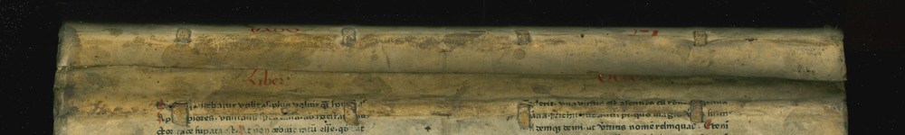 Ruecken (Fragment A_Iv_IIr_oben)