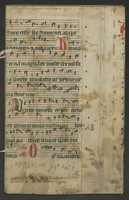 A_20_Bue_33_Iv_IIr_links