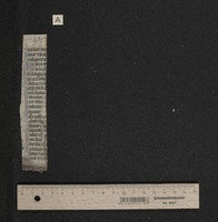 Fragm. 41 a, fol. [1]r