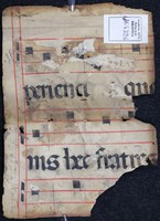 Verso