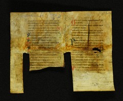 Innsbruck_ULBT_Frg_078_01_r